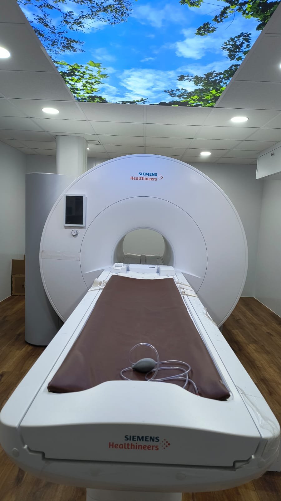 CT Scan